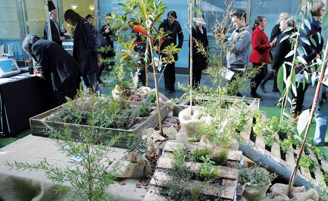 Upcycled pallet garden at out 2015 World Environment Day celebrations