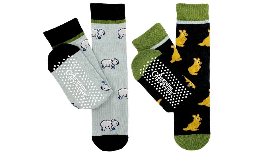Australian Geographic Aussie animal socks