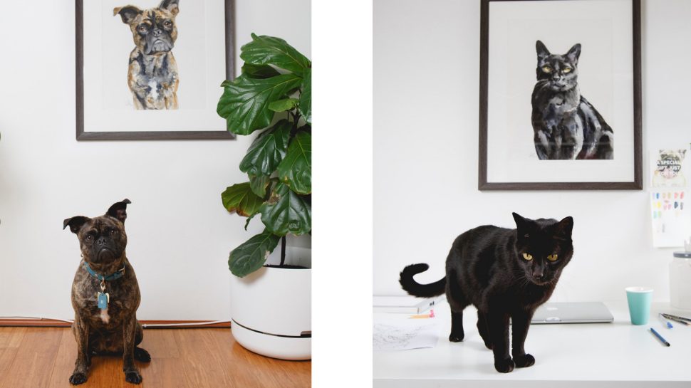 (Left) A dog looking at the camera with a portrait of itself in the background. (Right) A black cat standing on a desk with a portrait of itself in the background. 