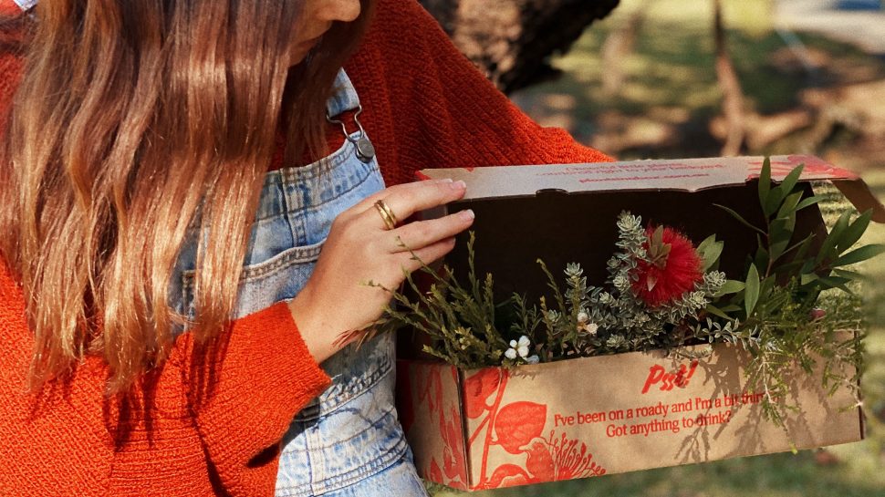 Plants in a Box 📦 Feels good to grow™️ (@plantsinabox