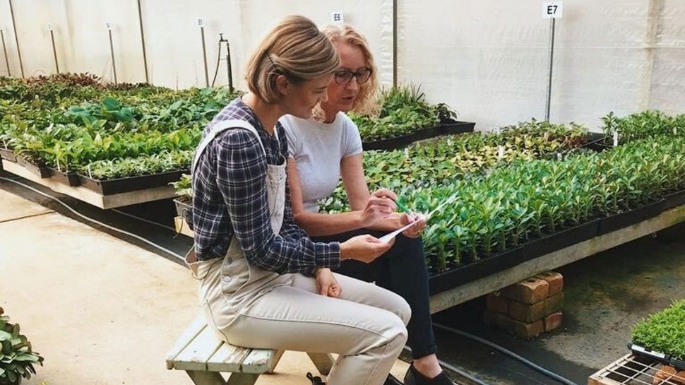 Plants In a Box