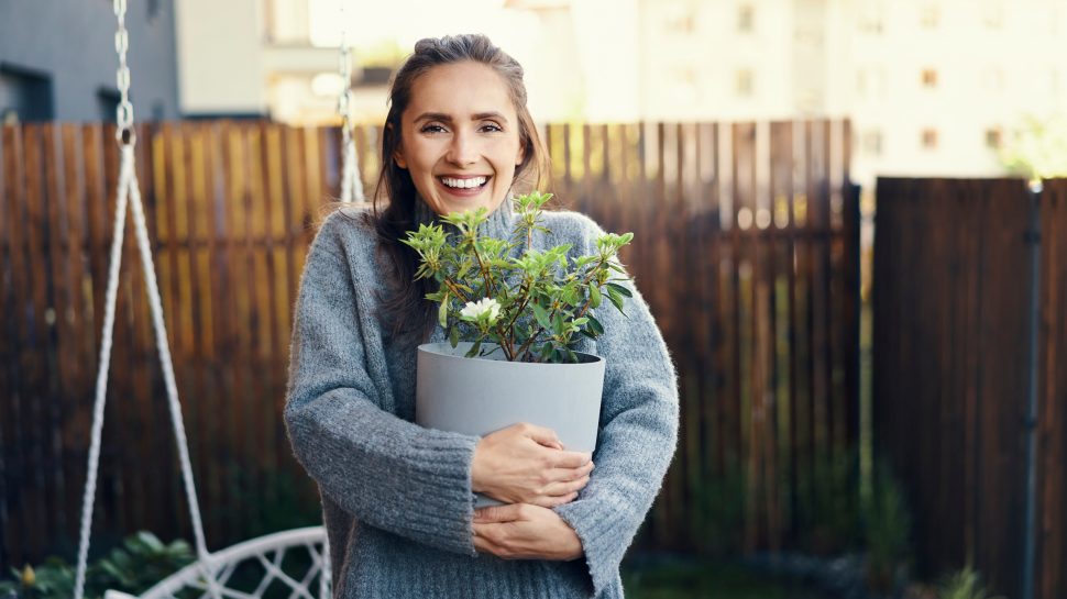 Unique Business Idea: The Story of Plants in a Box - Australia Post