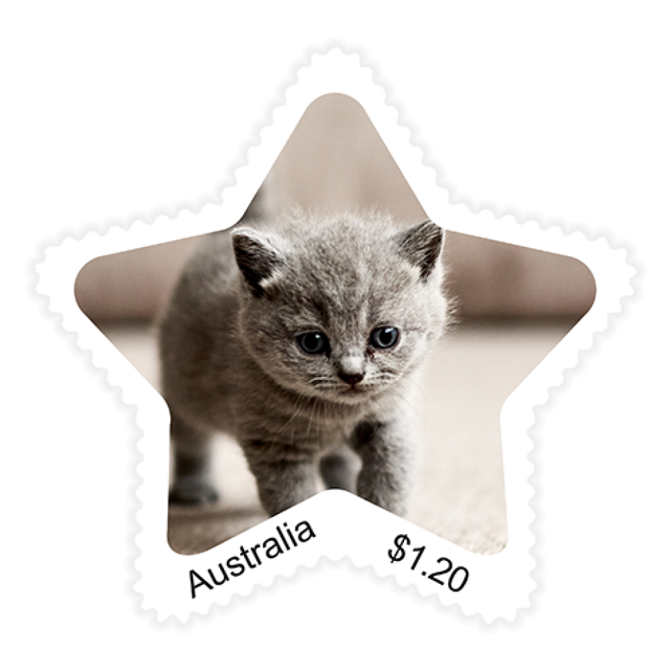 Five Star Stamp -  Australia
