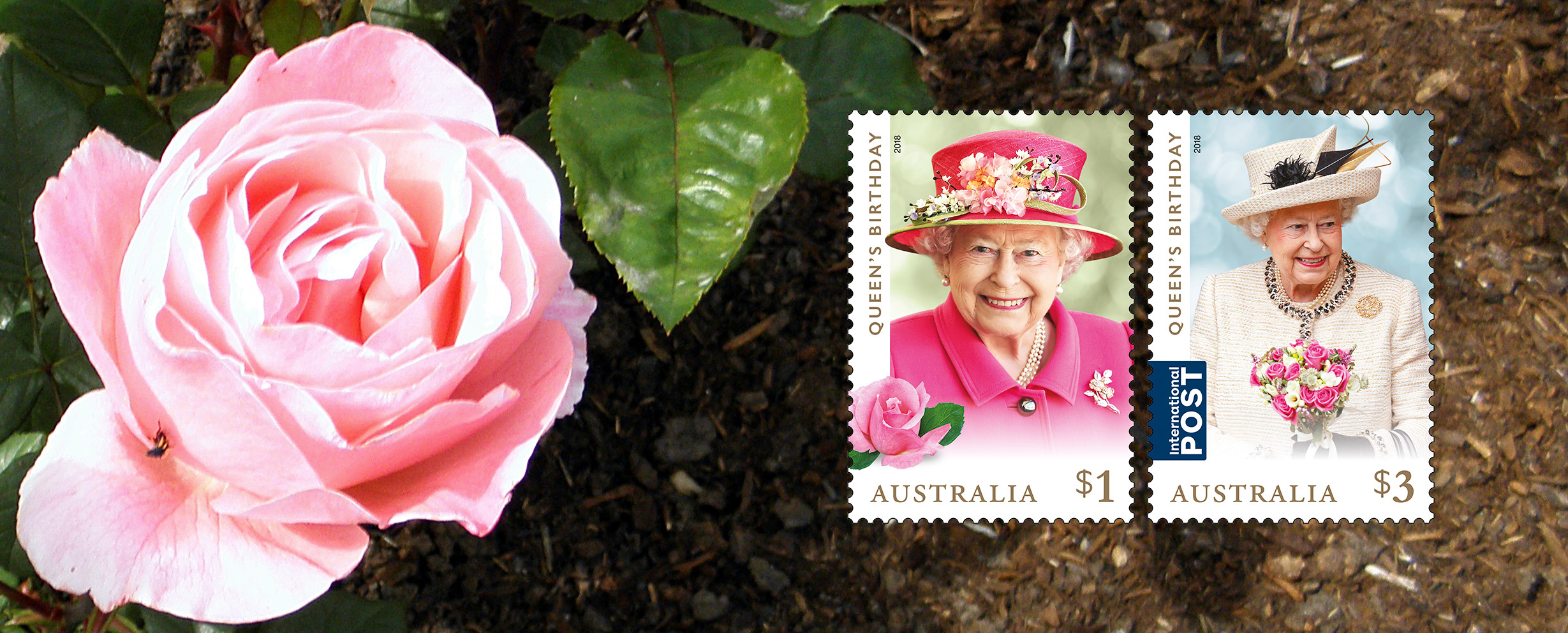 The Queen Elizabeth Rose Australia Post