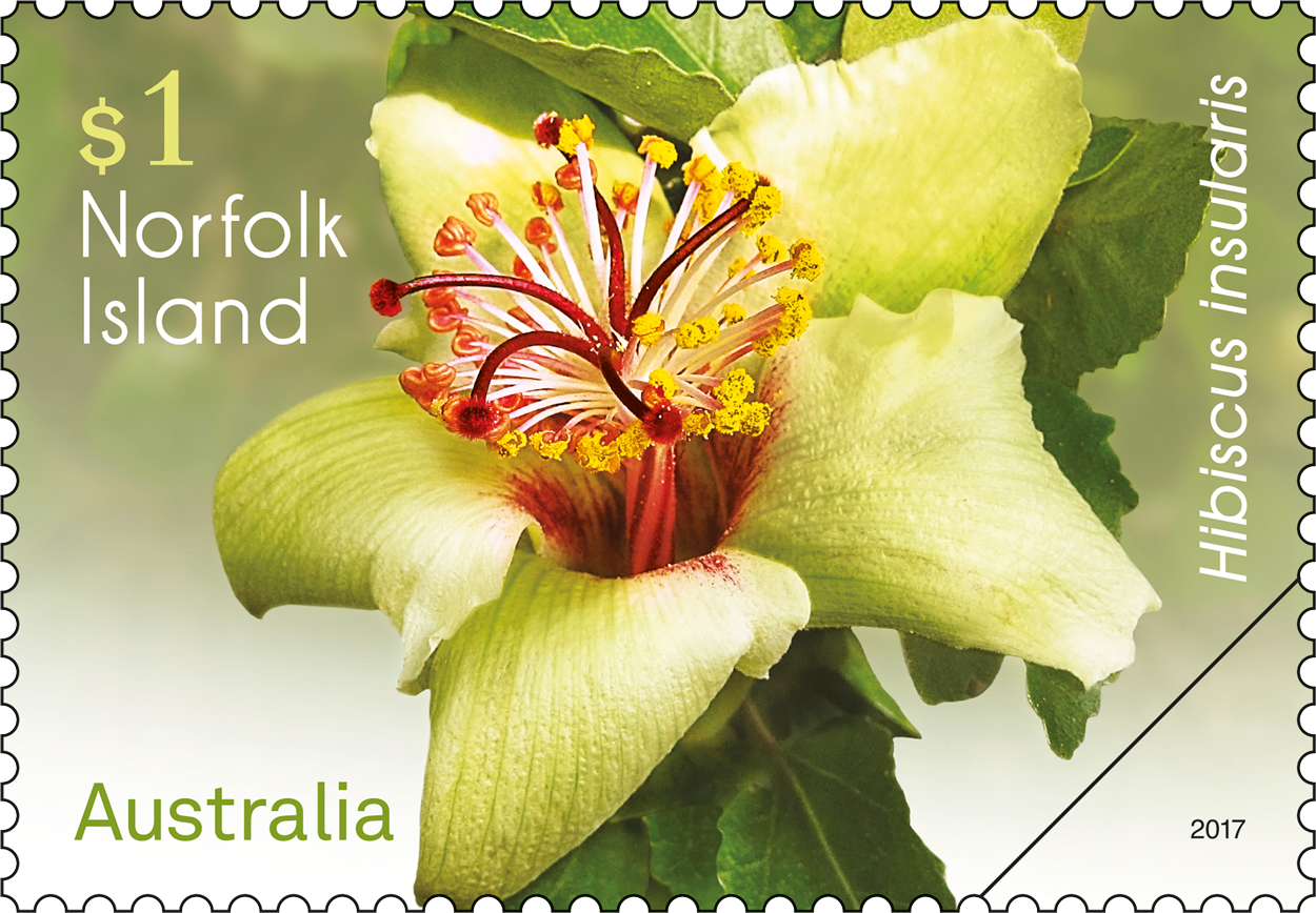 Norfolk Island Flowers Australia Post