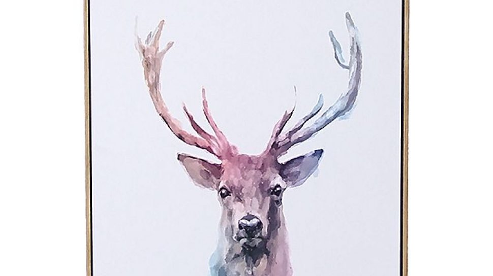 Framed deer print