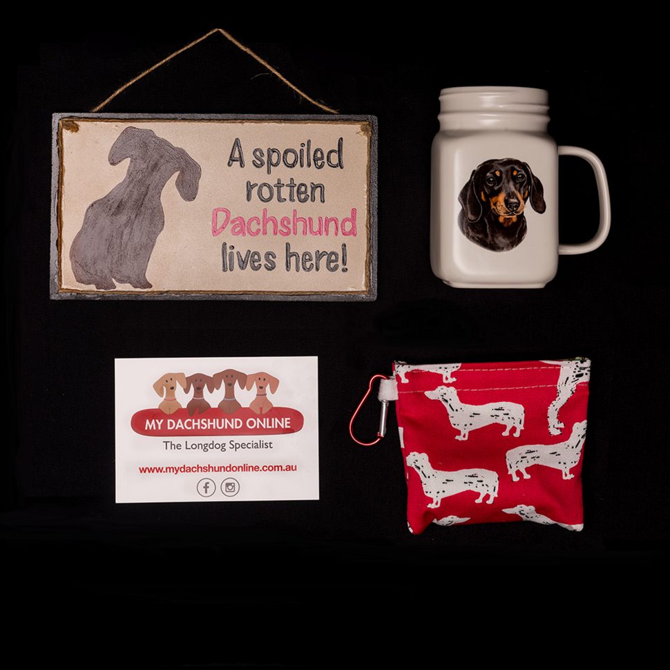 Dachshund shop themed gifts