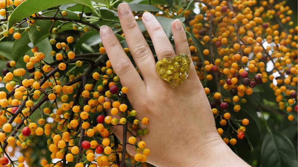 A hand wearing a wattle ring touching a wattle bush. 
