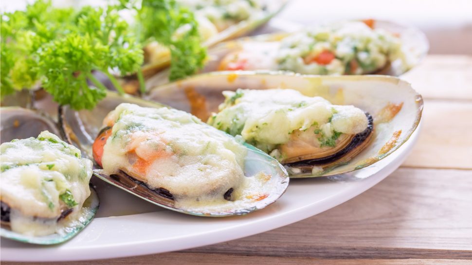 Plate of oysters with creamy white sauce