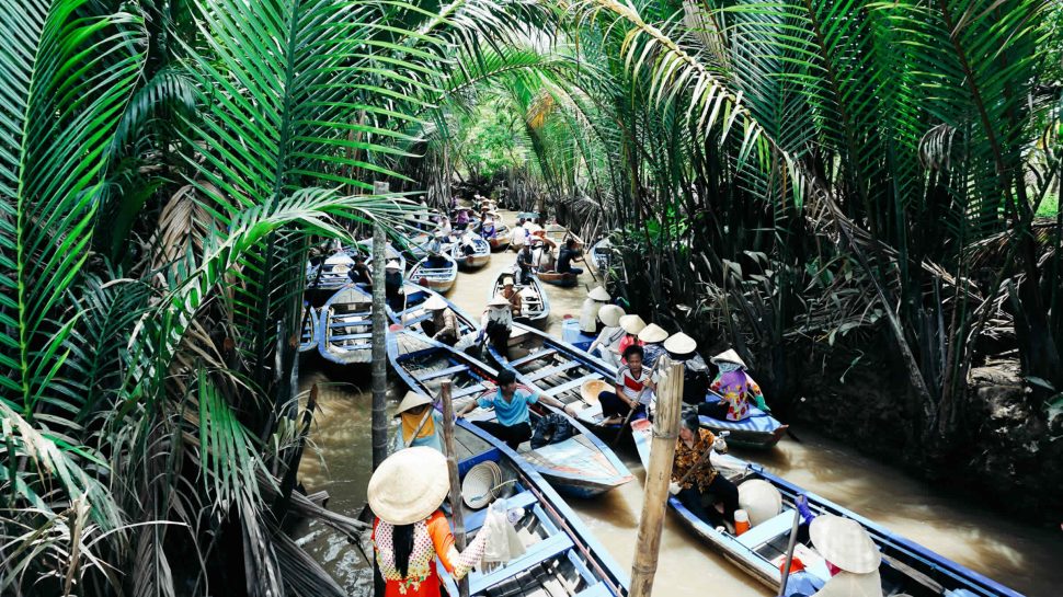 Peak hour on the Mekong river; dozens of boats travelling in opposite directions through the water surrounded by forest on either bankside.  