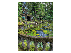 Prepaid Postcard &ndash; Paronella Park product photo