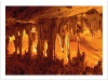 Prepaid Postcard &ndash; Capricorn Caves QLD product photo Internal 1 THUMBNAIL
