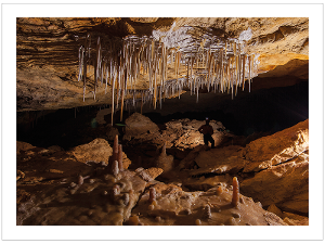 Prepaid Postcard &ndash; Naracoorte Cave, SA product photo