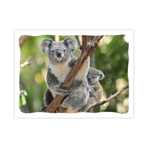 Prepaid Postcard &ndash; Koala and Baby product photo