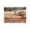 Prepaid Postcard &ndash; Emu and chicks product photo Internal 1 THUMBNAIL