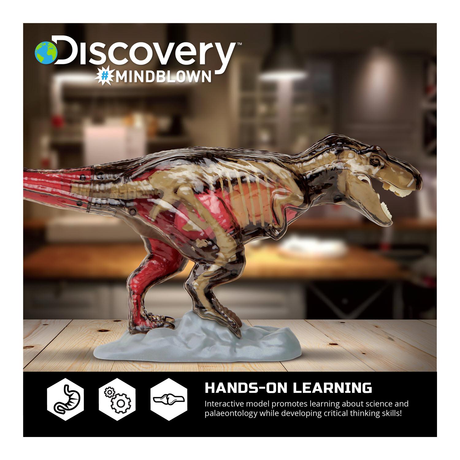 T Rex Anatomy Kit Educational 