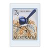 Australia Post Greeting Cards 'Blue Wren Stamp' &ndash; Pack of 6 product photo Internal 1 THUMBNAIL