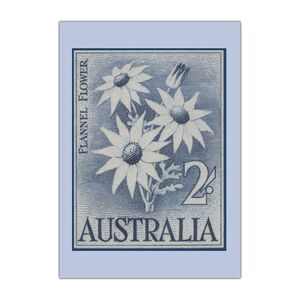 Australia Post Greeting Cards 'Flannel Flower Stamp' – Pack of 6 product photo