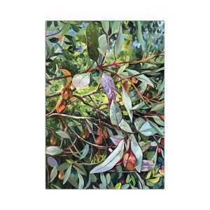Nicole Black Greeting Cards 'Morning Light' &ndash; Pack of 6 product photo