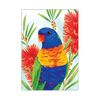 Rachel Gyan Greeting Cards 'Rainbow Lorikeet' &ndash; Pack of 6 product photo Internal 1 THUMBNAIL