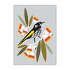 Natalie Marshall Greeting Cards 'New Holland Honeyeater' &ndash; Pack of 6 product photo Internal 1 THUMBNAIL