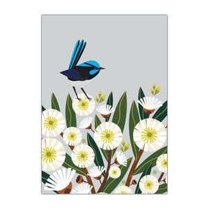 Natalie Marshall Greeting Cards 'Superb Fairy-wren' – Pack of 6 product photo