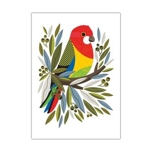 Natalie Marshall Greeting Cards 'Eastern Rosella' &ndash; Pack of 6 product photo