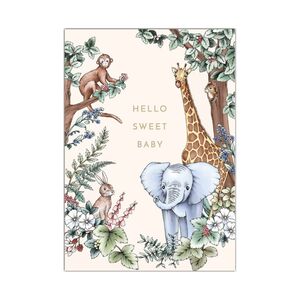 Shannon Cheung Greeting Cards 'Hello Sweet Baby Jungle' – Pack of 6 product photo