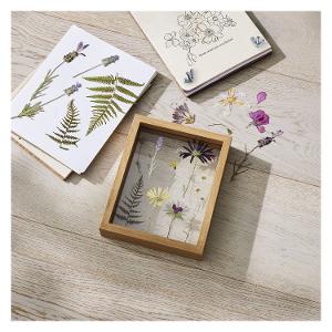 Mindful Creations Pressed Flower and Frame Kit product photo