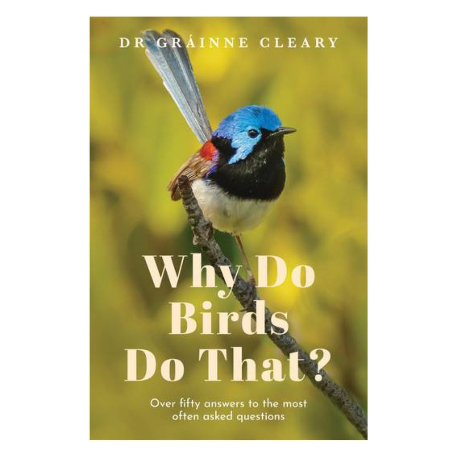 Why Do Birds Do That? by Grainne Cleary - Cookbooks, travel and lifestyle