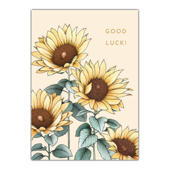 Shannon Cheung Greeting Cards 'Good Luck' – Pack of 6 - Greeting cards