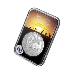 2026 $1 1oz Silver Frosted Uncirculated Coin - Kangaroo Series product photo