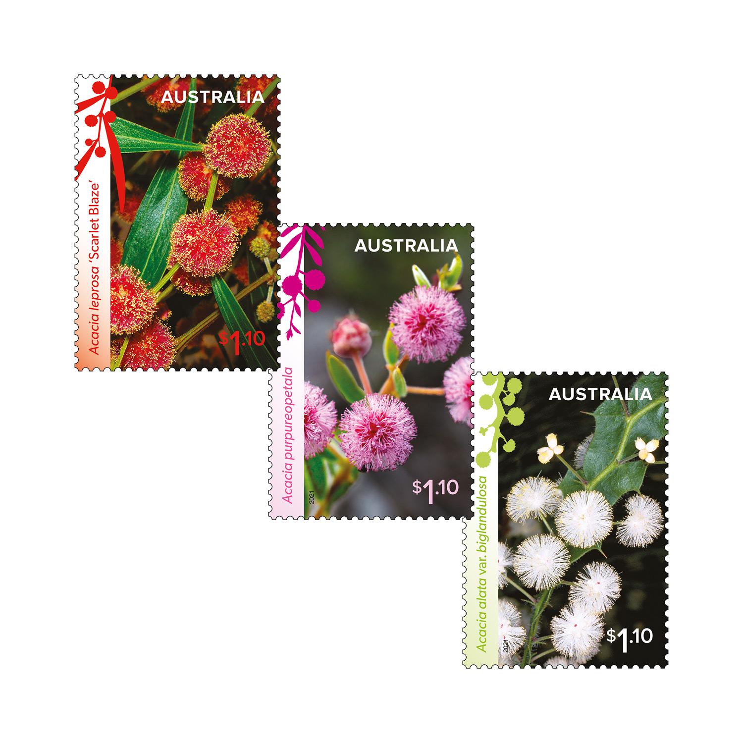 Set of Wattle Wonders Gummed Stamps Wattle Wonders