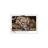Set of Native Animals Gummed Stamps product photo Internal 2 THUMBNAIL