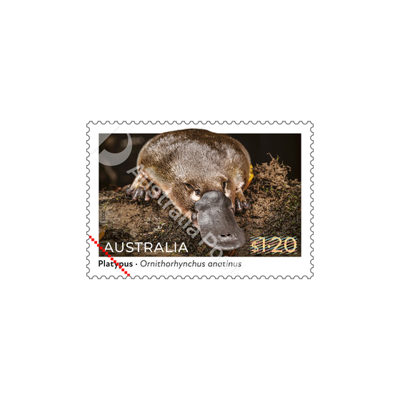 Set of Native Animals Gummed Stamps product photo Internal 2 DETAILS
