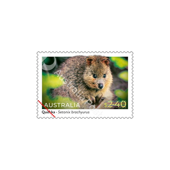 Set of Native Animals Gummed Stamps product photo Internal 4 DETAILS