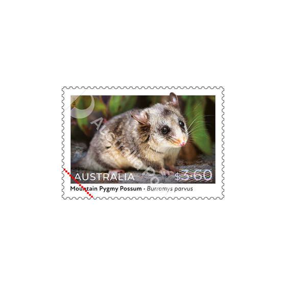 Set of Native Animals Gummed Stamps product photo Internal 5 DETAILS