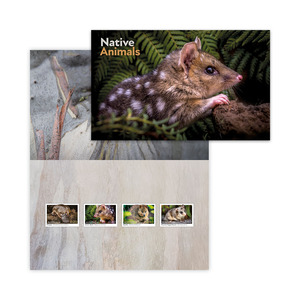 Native Animals Stamp Pack product photo