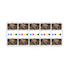 Gutter Strip of 10x $1.20 Platypus Stamps product photo Internal 1 THUMBNAIL