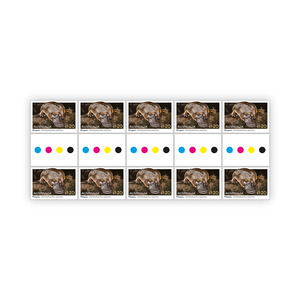 Gutter Strip of 10x $1.20 Platypus Stamps product photo
