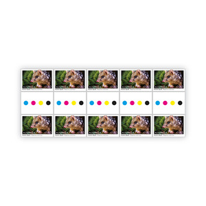 Gutter Strip of 10x $1.20 Eastern Quoll Stamps product photo