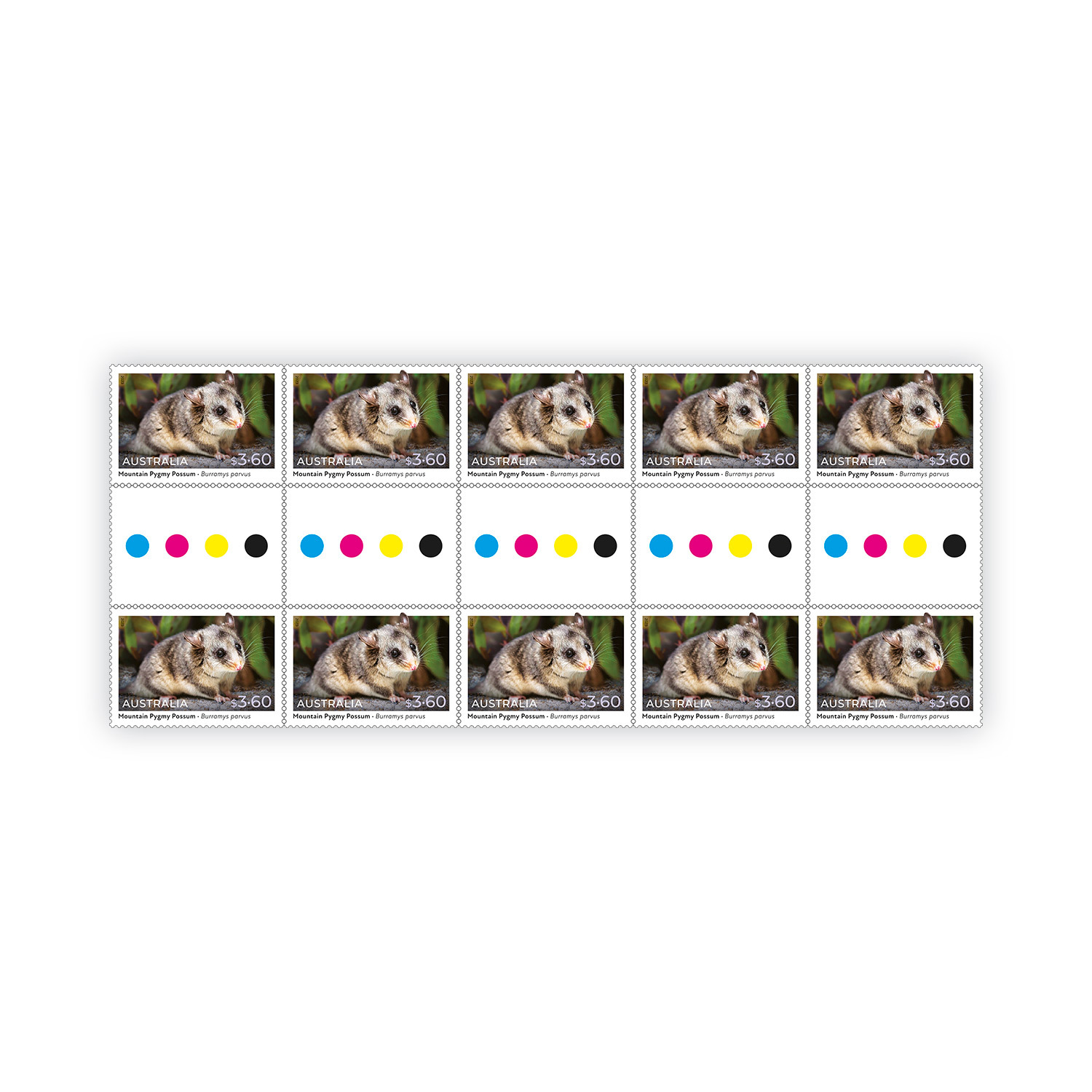 Gutter Strip of 10x $3.60 Mountain Pygmy Possum Stamps - Native Animals