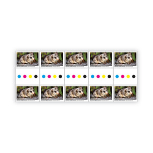 Gutter Strip of 10x $3.60 Mountain Pygmy Possum Stamps product photo