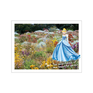Prepaid Postcard – Cinderella Botanic Gardens WA product photo