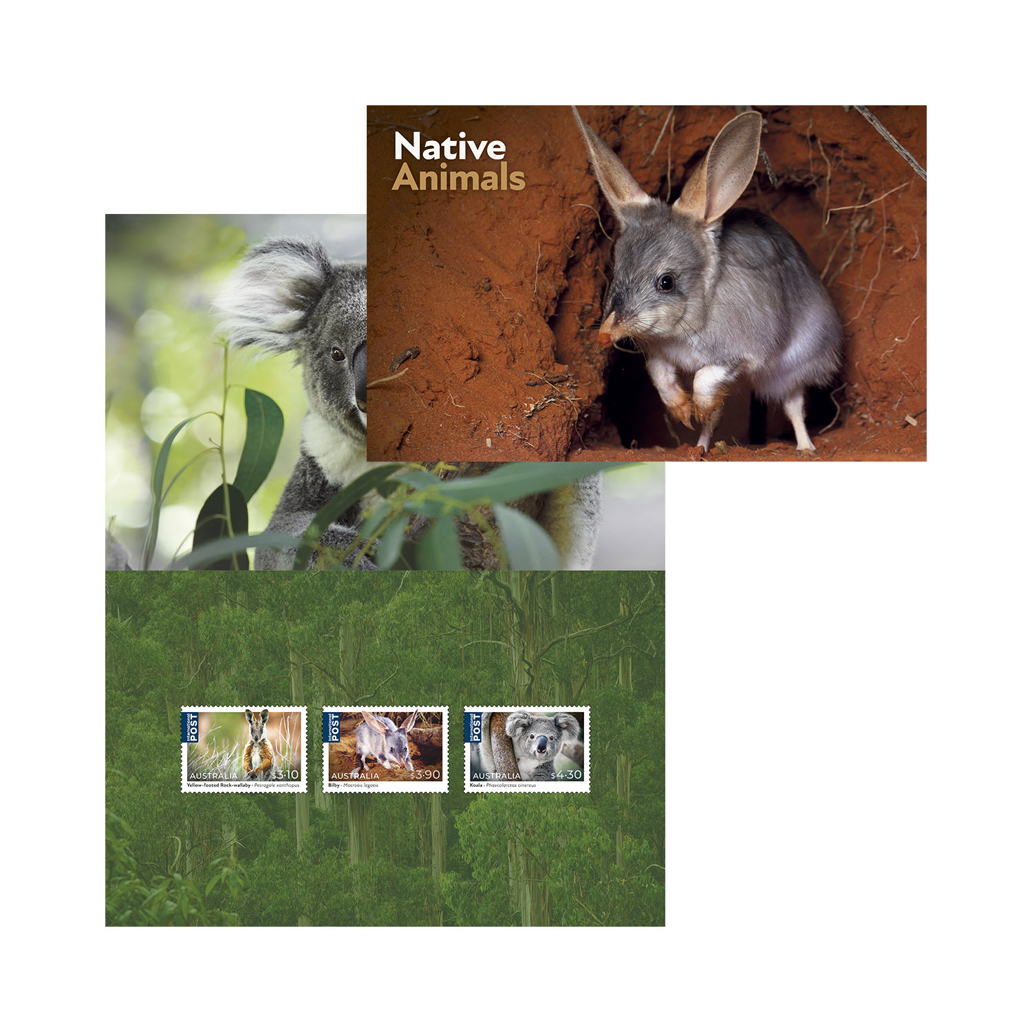 native-animals-international-stamp-pack