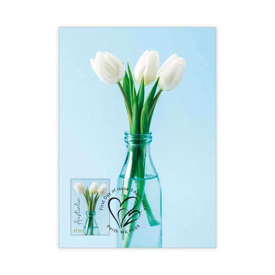 Special Occasions 2024 Maxicards (set of 8) product photo Internal 3 DETAILS