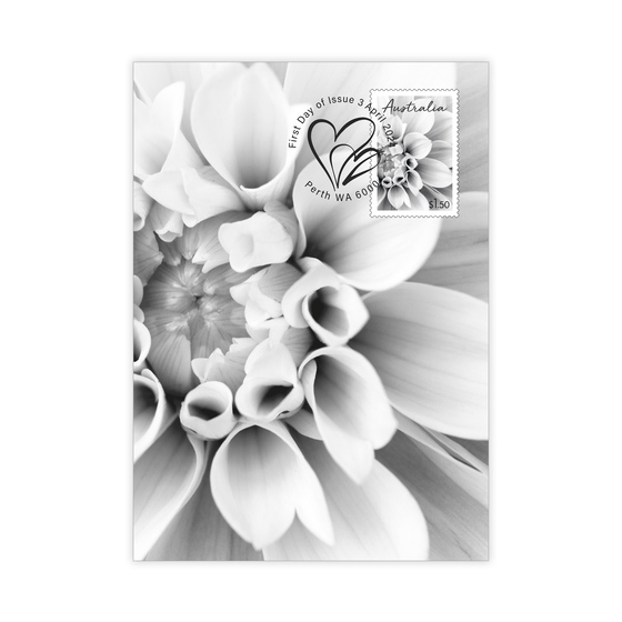 Special Occasions 2024 Maxicards (set of 8) product photo Internal 5 DETAILS