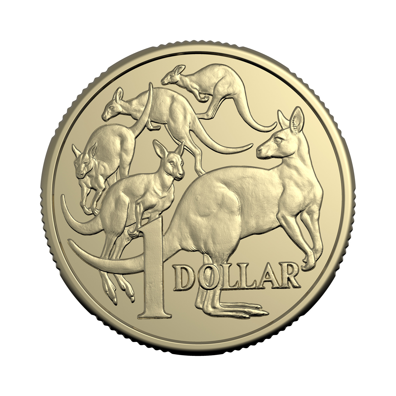 2025 $1 Coin Roll – Non-Premium - Royal Australian Mint