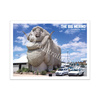 2025 Aussie Big Things 2 Postcard &ndash; The Big Merino product photo Internal 1 THUMBNAIL