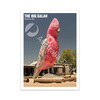 2025 Aussie Big Things 2 Postcard &ndash; The Big Galah product photo Internal 1 THUMBNAIL